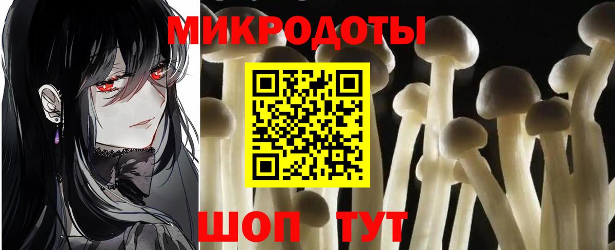 Псилоцибиновые грибы мицелий Улан-Удэ